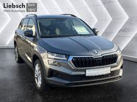 Skoda Karoq - Vorschau Bild 7
