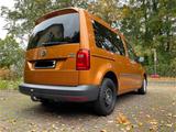 Volkswagen Caddy 1,2TSI 62kW BMT Conceptline 5-Sitzer C... - Volkswagen: Concept