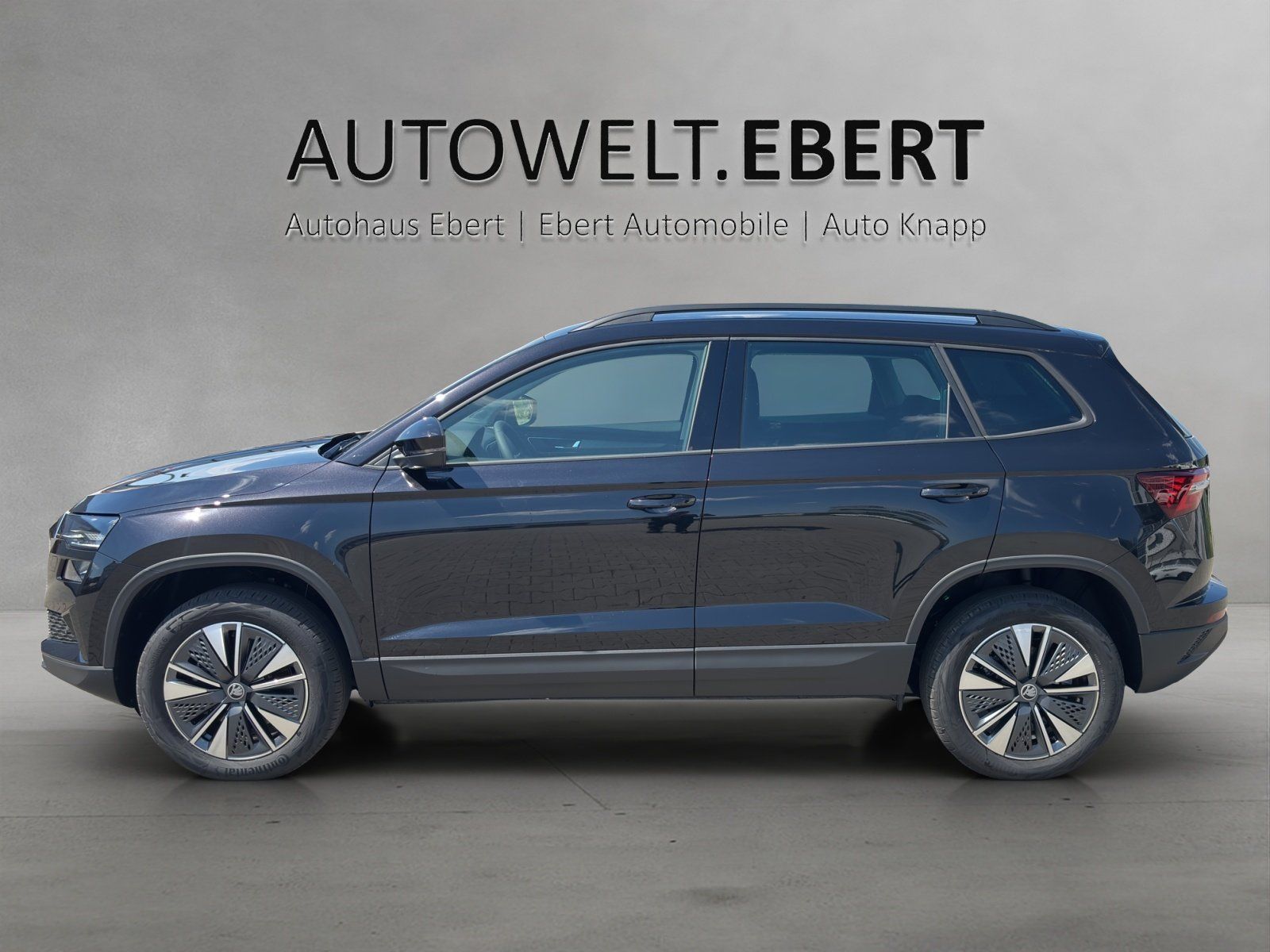 Fahrzeugabbildung SKODA Karoq Balance 1,5 TSI 110 kW DSG MATRIX/RFK/AHK