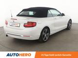 BMW 220i Sport Line Aut.*NAVI*PDC*SHZ*BiXENON*TEMPO* - BMW 2er Reihe mit Benzin-Antrieb: Cabrio