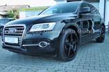 Audi SQ5 3.0 TDI quattro*Panorama*Leder*Navi*Xenon - gebrauchte Audi SQ5 aus dem Jahr 2013