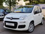 Fiat Panda 1.2 City Life TÜV-KLIMA-AHK-Service NEU - Fiat Panda: 2t