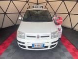 Fiat Panda 1.3 MJT 16V Dynamic - Fiat Panda Dynamic mit Diesel-Antrieb