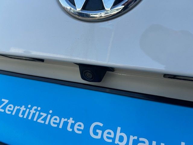 Foto Nummer 19: VW T6 Multivan