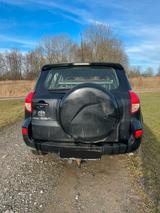 Toyota RAV 4 2.2-l-D-CAT 4x4 Sol Sol - Toyota RAV 4: D Cat