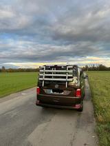 Volkswagen T6 California - Volkswagen T6 California aus 2020