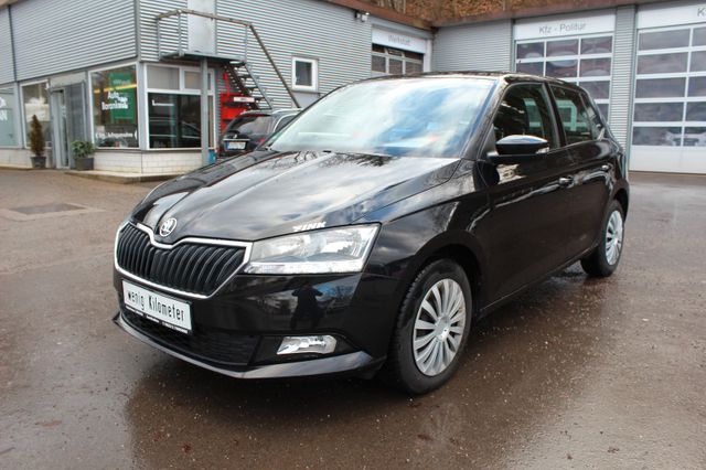 Skoda Fabia Ambition 1.Hand SHZ Tempomat Apple Car Pla