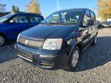 Fiat Panda 1.2 8V Dynamic - Fiat Panda Gebrauchtwagen in Krefeld