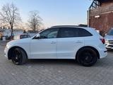 Audi SQ5 3.0 TDI competition quattro,Pano,Ahk,St-Heiz - weiße Audi SQ5