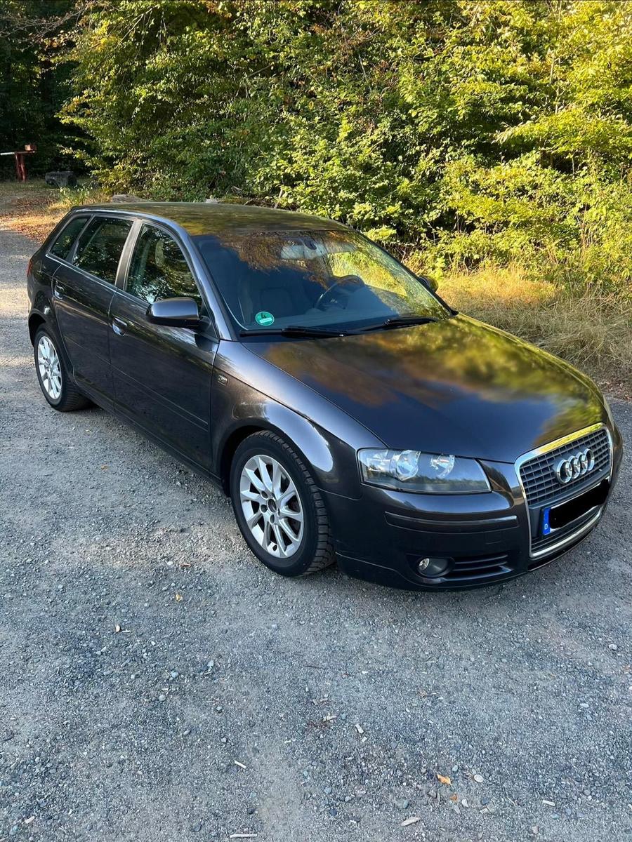 Audi A3 2006 — rear view