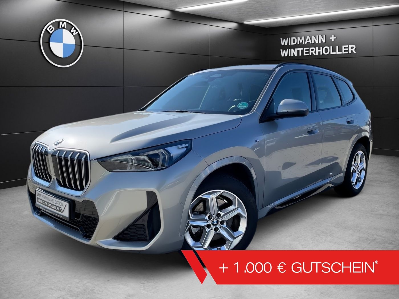BMW X1 sDrive20i M Sport DA Plus ad.LED H/K PA RFK
