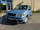 Fiat Punto 1.2 16V Dynamic Dynamic - Fiat Punto aus 2004: 1.2