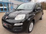 Fiat Panda 1.0 Urban Mild-Hybrid*1.HAND-EURO 6* - gebrauchte Fiat Panda aus dem Jahr 2021