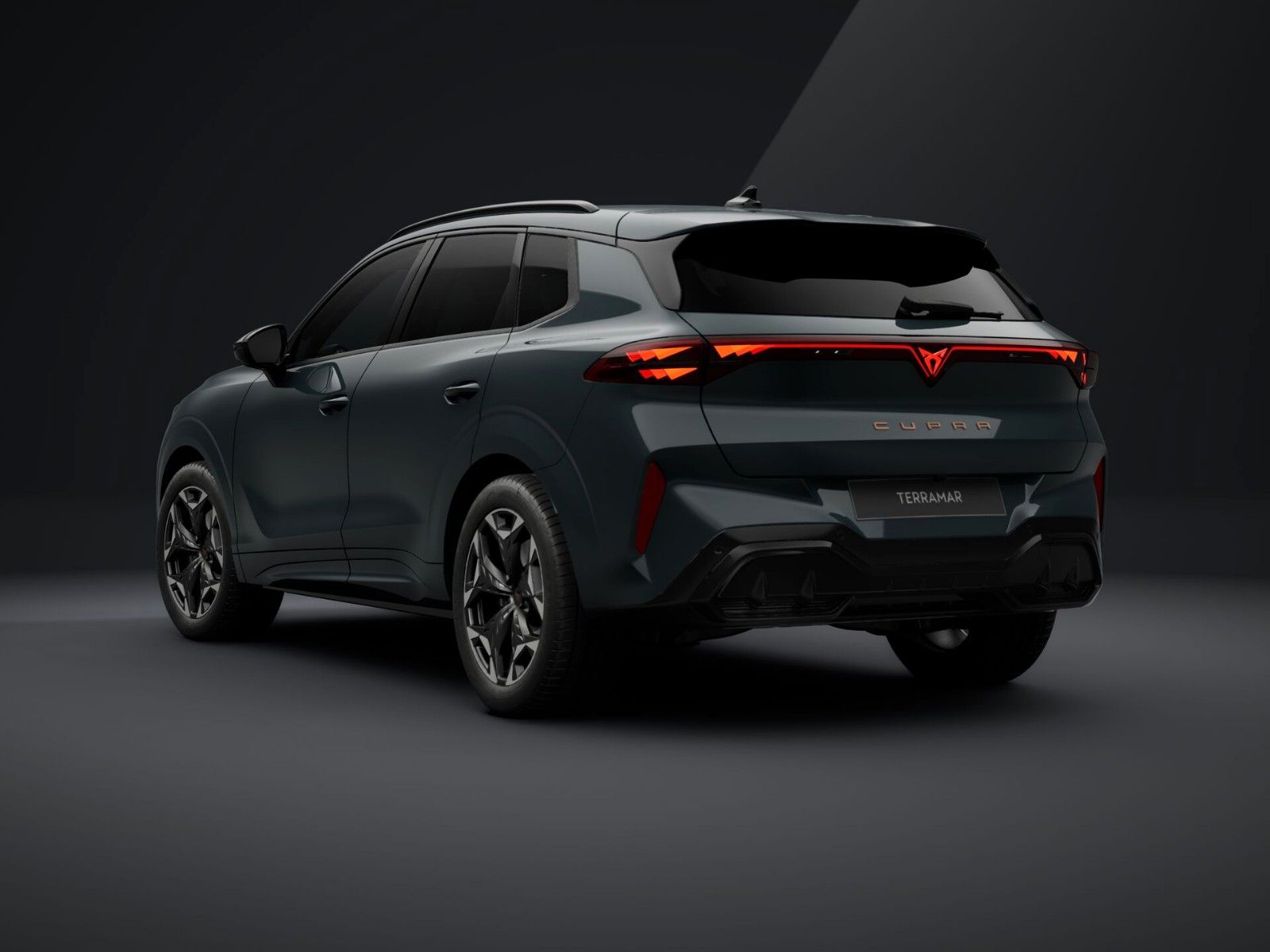 Cupra Terramar - Bild 3