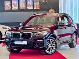 BMW X3 xDrive 30d M Sport Virtual LED NavProf 19Zoll - BMW X3: 30d