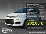 Fiat Panda 1.0 GSE Hybrid (312) - Fiat Panda aus 2025
