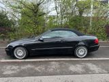 Mercedes-Benz CLK 280 AVANTGARDE AVANTGARDE - Mercedes-Benz CLK 280: Cabrio