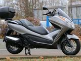 Honda Forza 300 NSS300 im Bestzustand mit 4200km  - HONDA FORZA