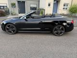 Audi S5 3.0 TFSI S tronic quattro Cabriolet - - Audi S5: Leder