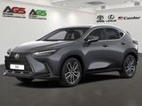 Lexus NX 450h+ E-Four Luxury + Panorama Mark Levinson - graue Lexus NX 450h