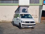 Volkswagen T6 California *Mercus Umbau* - Volkswagen T6 California aus 2017