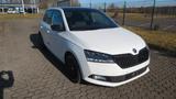 Skoda Fabia Monte Carlo *NAVI/LED/PANO/SHG* - Skoda Fabia mit Benzin-Antrieb: Limousine, Monte Carlo