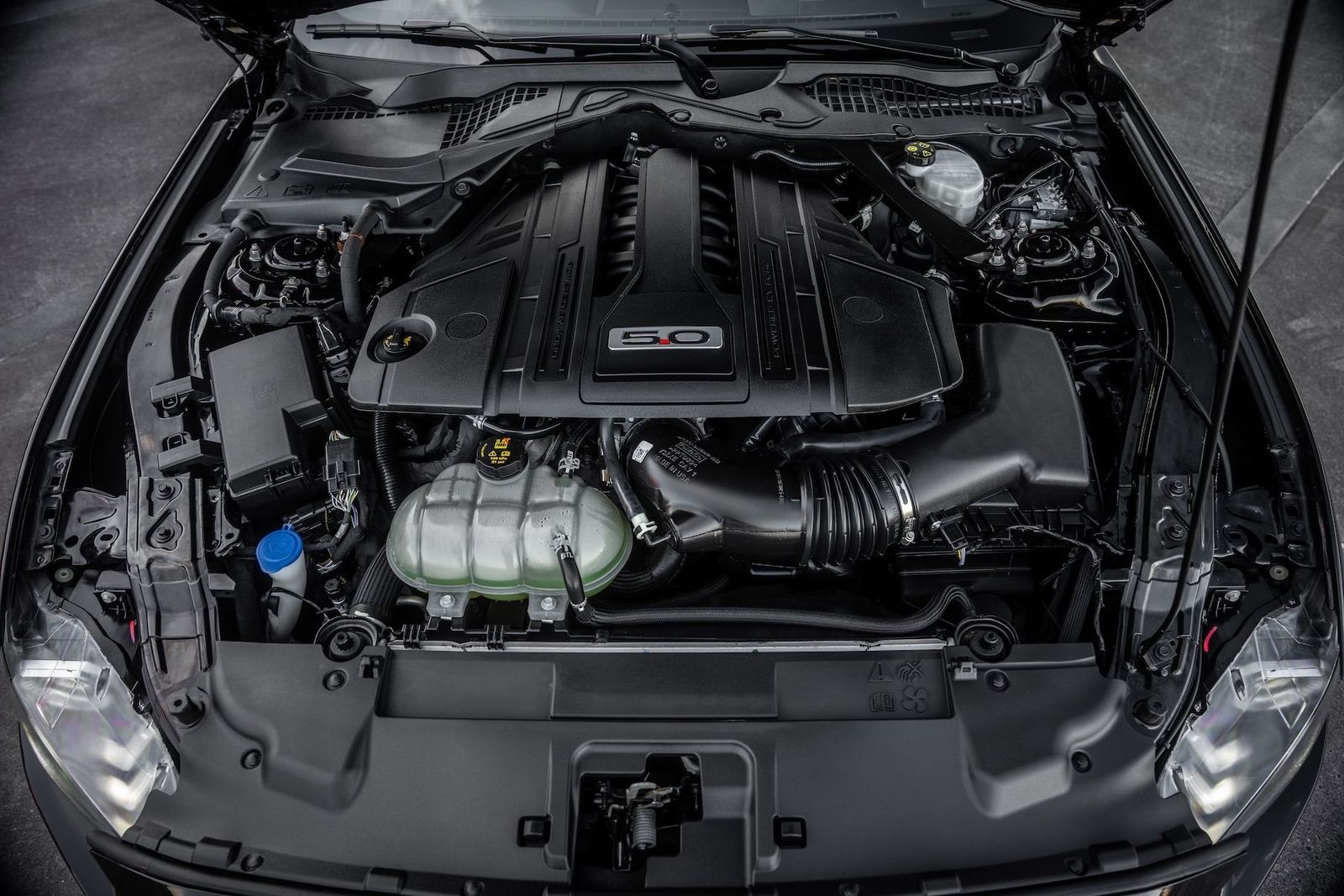 Fahrzeugabbildung Ford Mustang 5.0 Ti-VCT V8 Fast. GT|BESONDERE EXTRAS!