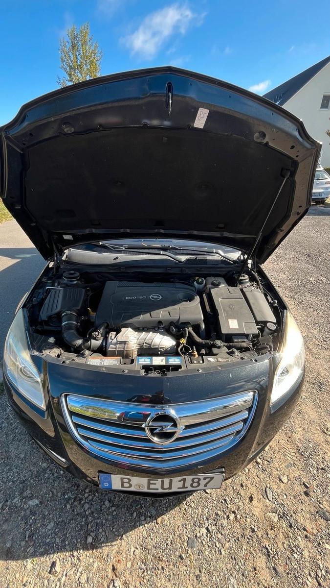Opel Insignia 2010 — вигляд ззаду