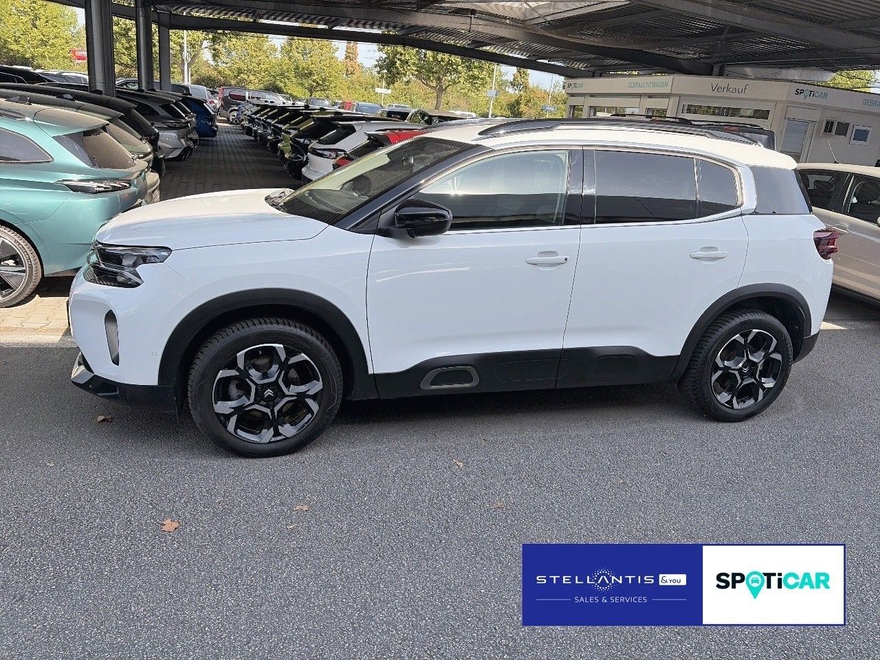 Citroën C5 Aircross Shine Pack SHZ*NAVI imagem 3