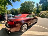 Audi A5 Cabriolet  - Audi A5: Roadster