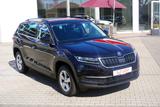 Skoda Kodiaq 1.5 TSI DSG AAC LED Navi DAB Kam SHZ - gebrauchte Skoda Kodiaq aus dem Jahr 2019