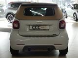 Smart fortwo cabrio Brabus Leder SHZ Navi Klima Servo - Smart