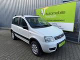 Fiat Panda 1.3 JTD Climbing 4X4, 1. Hd.,5-türig, BT - Fiat Panda mit Diesel-Antrieb: Allradantrieb