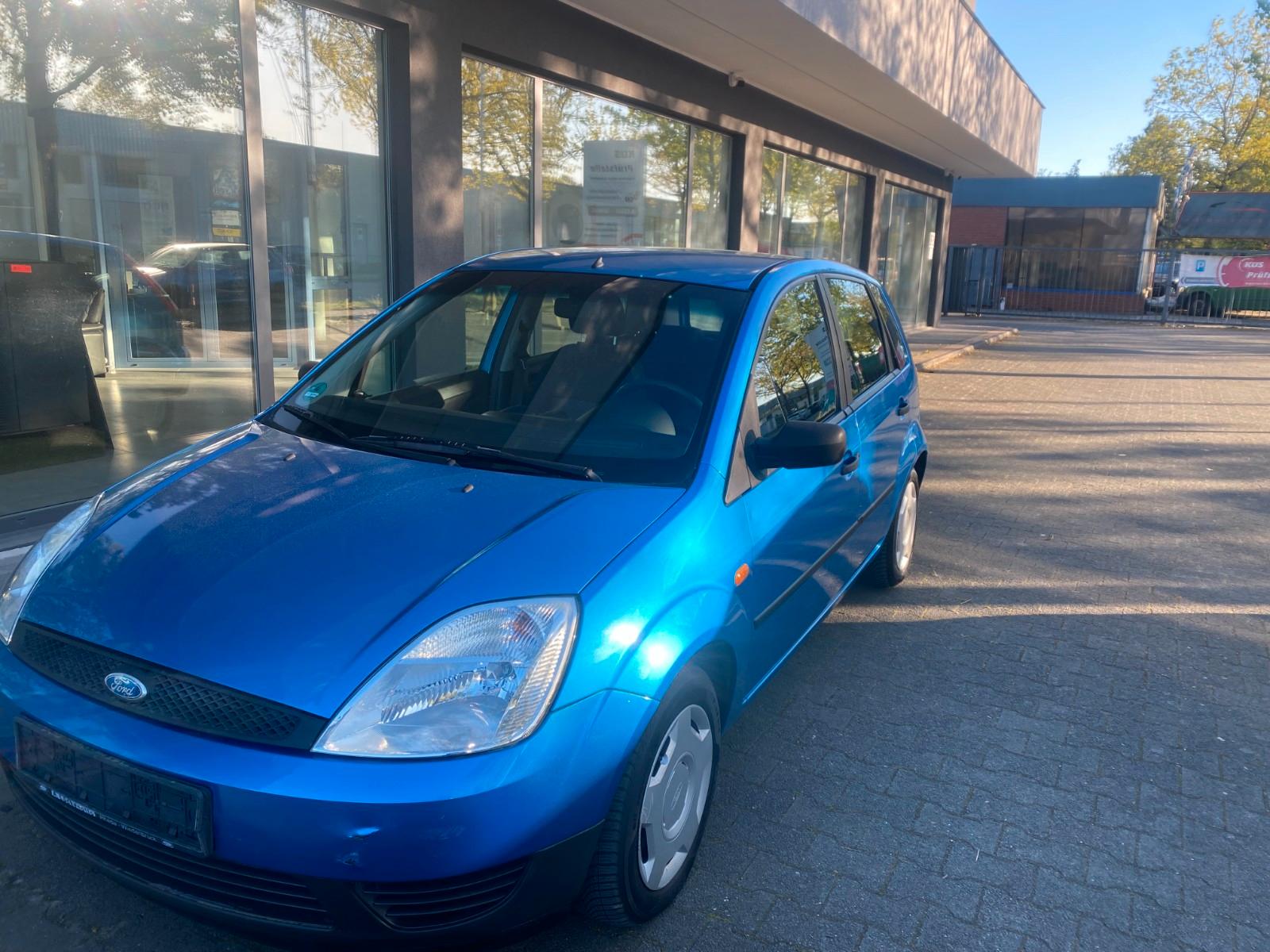 Ford Fiesta 1,3 44kW Viva X,Euro4,Klima,1Hand,TÜVneu