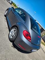 Volkswagen Beetle 1.2 TSI - - Volkswagen Beetle in Stuttgart