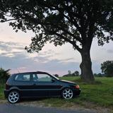 Volkswagen Polo 6n GTi 16V Limited - Volkswagen Polo: 6n GTI