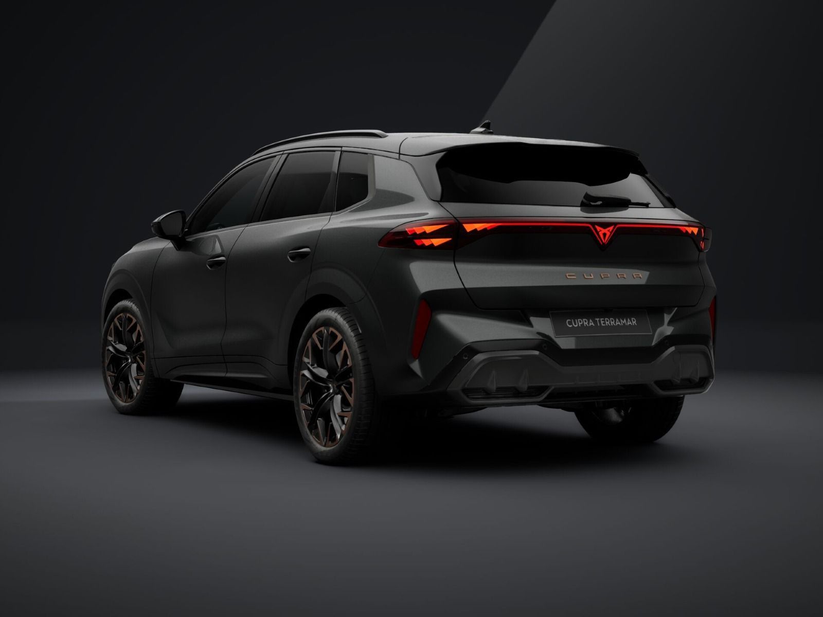 Cupra Terramar - Bild 3