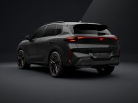 Cupra Terramar - Vorschau Bild 3