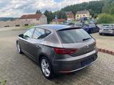 Seat Leon FR - Seat aus 2017