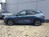 Ford Kuga 1.5 EcoBoost ST-Line X ACC, HuD, AHK, Kamer - gebrauchte Ford SUV & Geländewagen