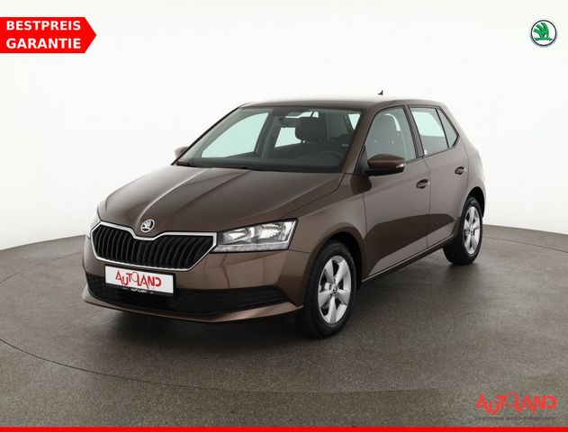 Skoda Fabia 1.0 MPI Cool Plus Klima Sitzheizung DAB