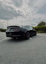 Ford Mustang GT 5.0 V8 | Schalter | US-Import |  - Ford Mustang: For