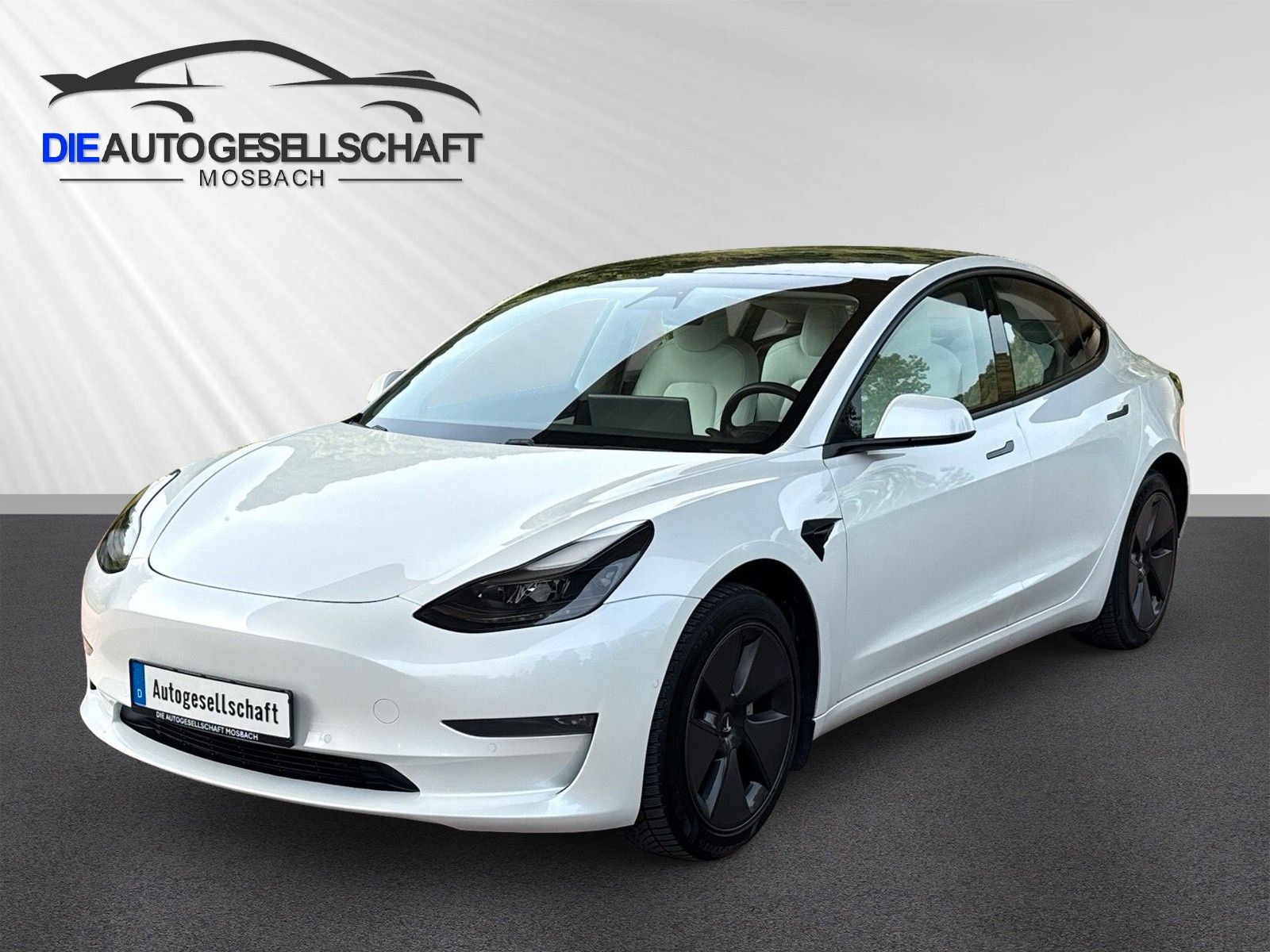 Tesla Model 3 Long Range Dual AWD 77KW Wärmepumpe