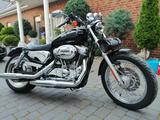 Harley-Davidson Sportster 883 Custom (Evolution Vergaser)  - HARLEY-DAVIDSON 2005 883 SPORTSTER