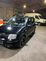 Fiat Panda (169) - Fiat Panda in Hagen