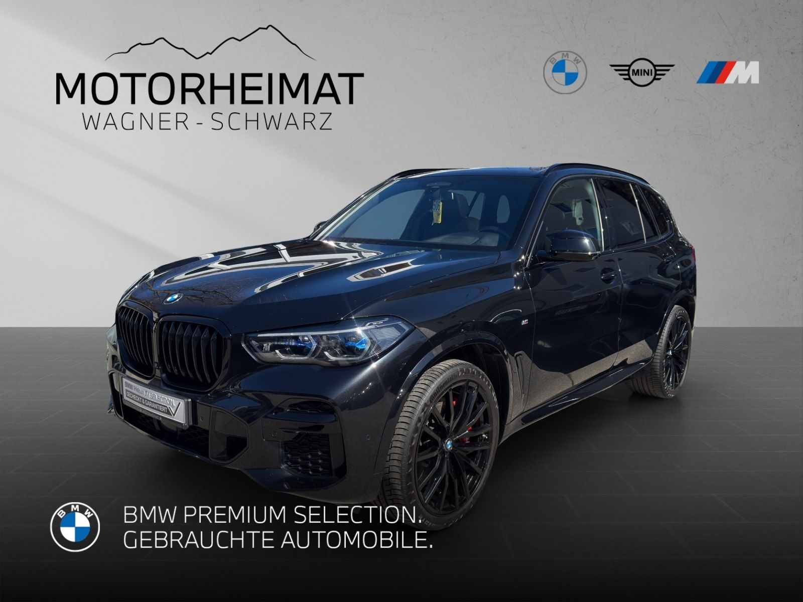 BMW X5 xDrive40d M Sport Luftfederung Carbon Vollled