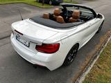 BMW M240i Steptronic Cabrio Leder Navi Prof. RFK  - BMW M240i in München