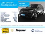 Volkswagen Tiguan 2.0 TDI R-Line 4Motion AHK 360° PANO HUD