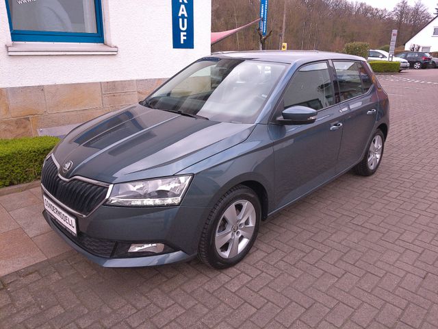 Skoda Fabia 1,0 TSI Ambition Sitzh. Alu PDC Blth.