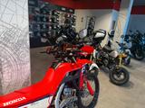 Honda CRF300 2025 Grand Prix Red *Tageszulassung 09-25 - HONDA 300